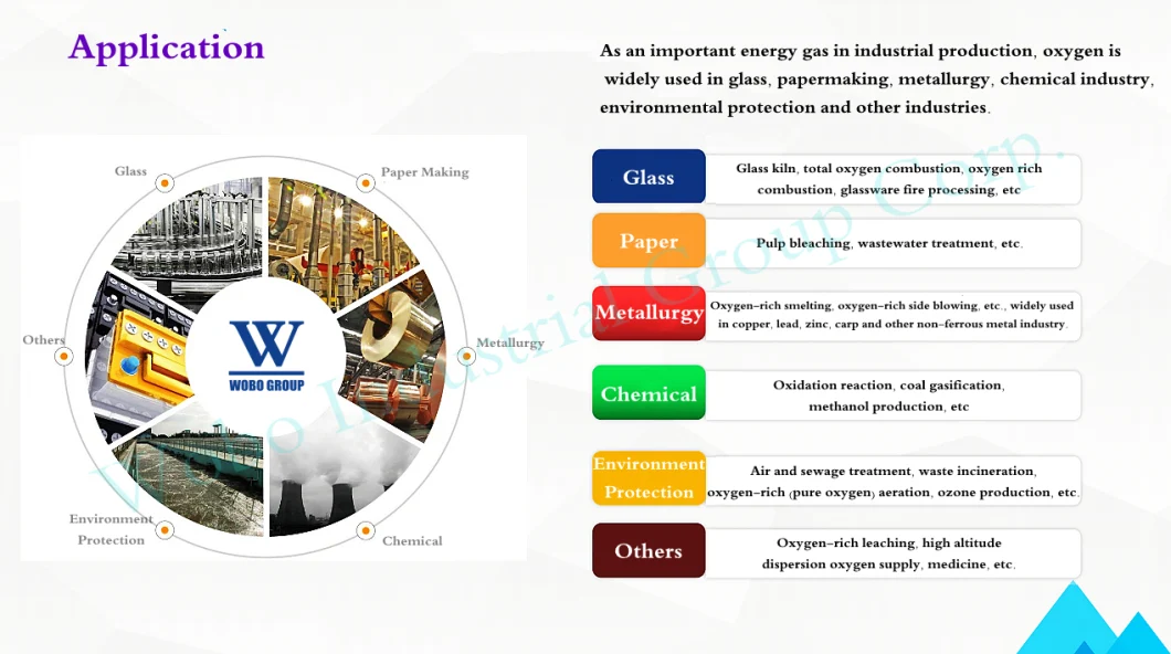 Low Energy Consumption O2 Gas Production Machine Vpsa Oxygen Generator for Filling Station